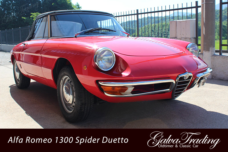 Alfa Romeo 1300 Spider Duetto Rundheck Osso di Sepia
