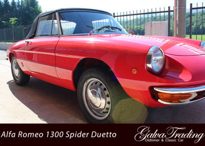 Alfa-Romeo-1300-Spider-Duetto-Rundheck-Osso-di-Sepia-3